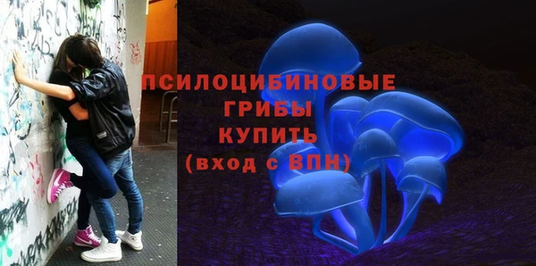 твердый Алексин