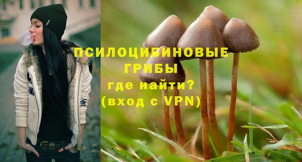 твердый Алексин