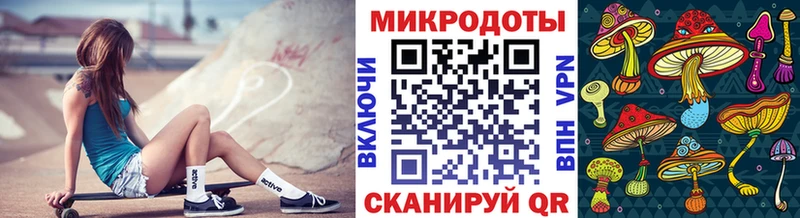 Галлюциногенные грибы Psilocybe  купить  цена  Палласовка 